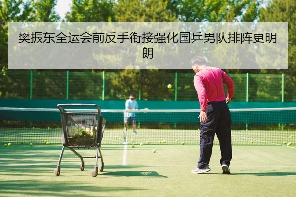 樊振东全运会前反手衔接强化国乒男队排阵更明朗