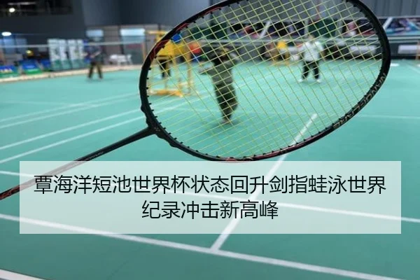 覃海洋短池世界杯状态回升剑指蛙泳世界纪录冲击新高峰